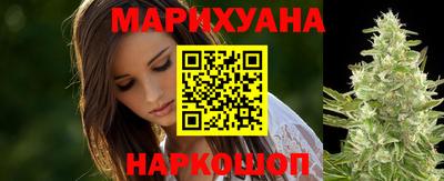 индика Лесосибирск