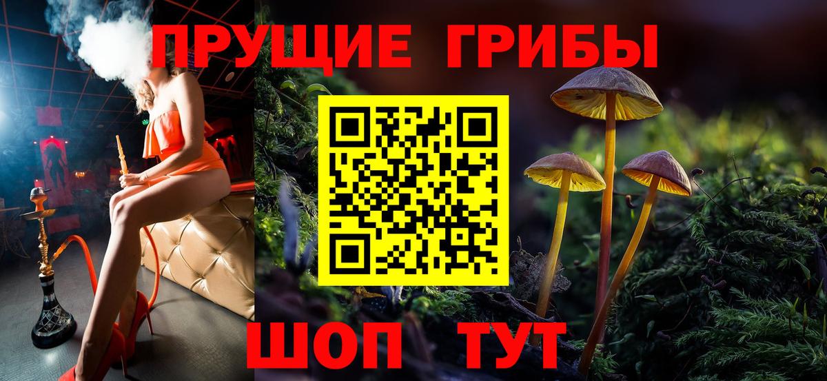 Псилоцибиновые грибы MAGIC MUSHROOMS Казань