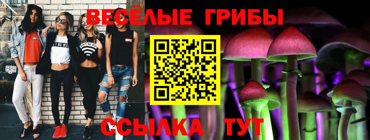 Псилоцибиновые грибы Magic Shrooms  Галлюциногенные грибы мицелий  Казань  Вход с VPN 